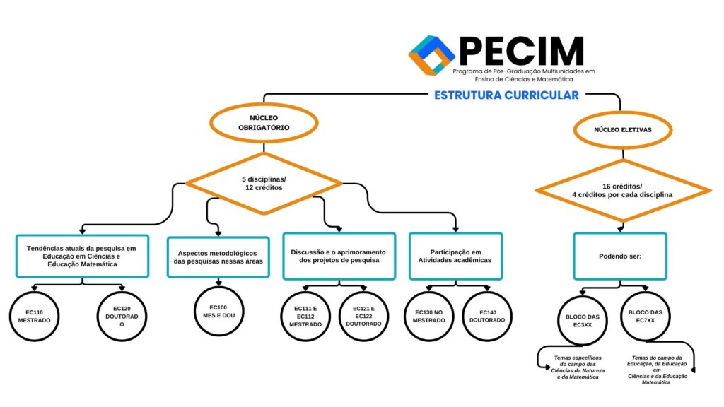 Estrutura curricular PECIM 2025. ic