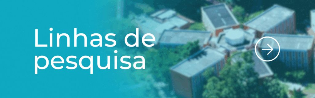 Linhas de pesquisa